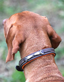 Fleetwith Leather Collar